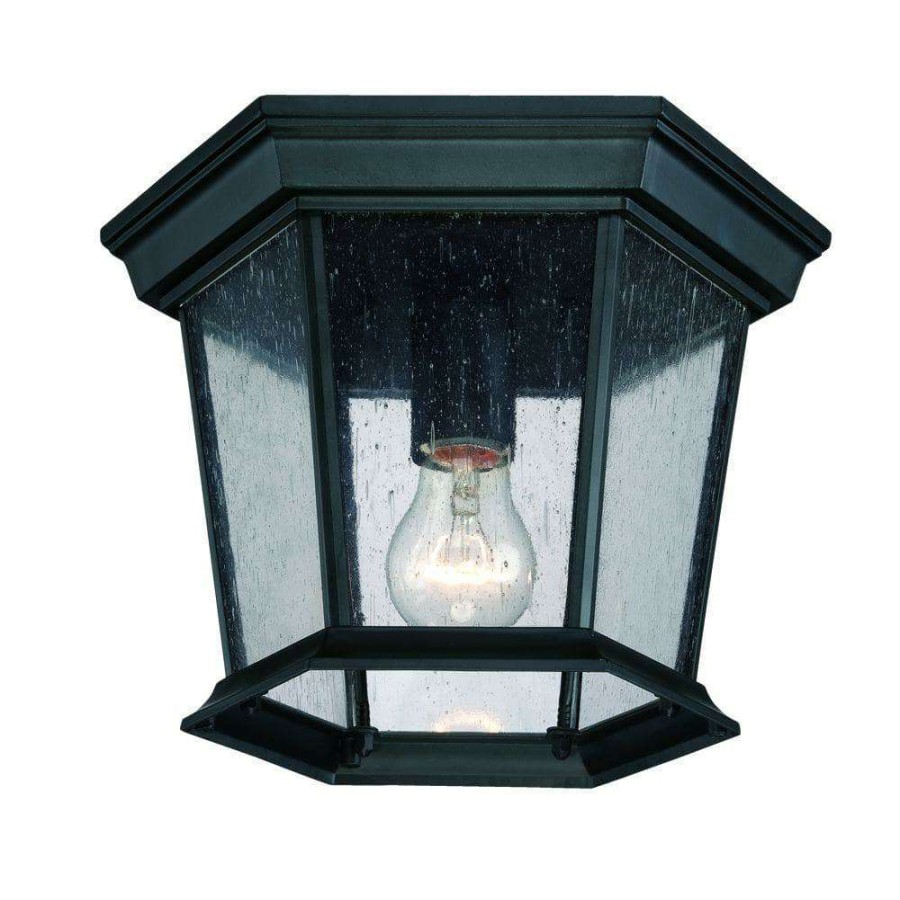 Outdoor Lighting * | Dover Collection 1-Light Matte Black Outdoor Ceiling Fixture By Acclaim Lighting