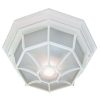 Outdoor Lighting * | Flushmount Collection 2-Light Textured White Outdoor Ceiling-Mount Light Fixture By Acclaim Lighting