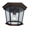 Outdoor Lighting * | Dover Collection 1-Light Burled Walnut Outdoor Ceiling Fixture By Acclaim Lighting