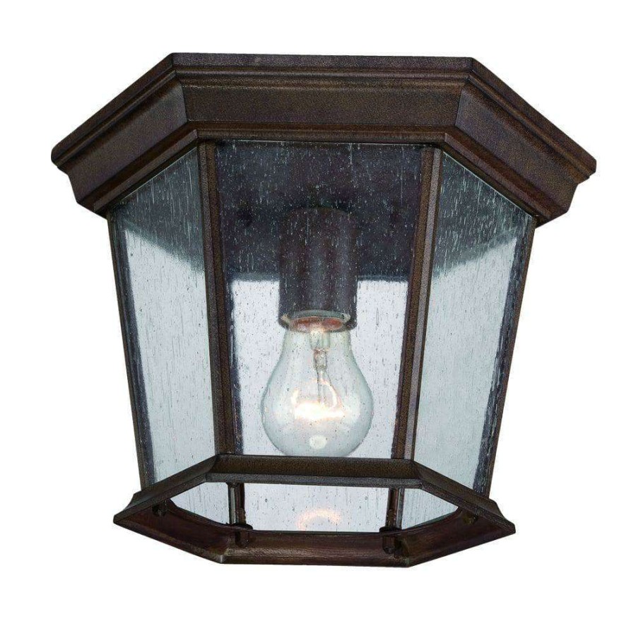 Outdoor Lighting * | Dover Collection 1-Light Burled Walnut Outdoor Ceiling Fixture By Acclaim Lighting