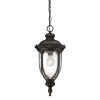 Outdoor Lighting * | Laurens 1-Light Black Coral Outdoor Hanging Lantern By Acclaim Lighting