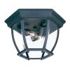 Outdoor Lighting * | Flushmount Collection Ceiling-Mount 3-Light Matte Black Outdoor Light Fixture By Acclaim Lighting