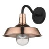 Outdoor Lighting * | Burry 1-Light Copper Outdoor Wall Light By Acclaim Lighting