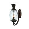 Outdoor Lighting * | Lanai Collection 2-Light Black Coral Outdoor Wall Lantern Sconce By Acclaim Lighting