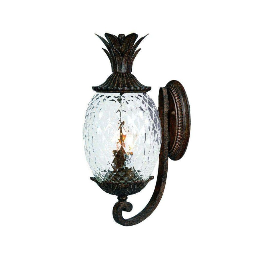 Outdoor Lighting * | Lanai Collection 2-Light Black Coral Outdoor Wall Lantern Sconce By Acclaim Lighting