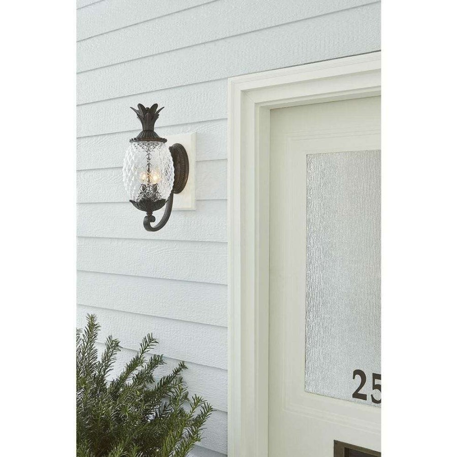 Outdoor Lighting * | Lanai Collection 2-Light Black Coral Outdoor Wall Lantern Sconce By Acclaim Lighting