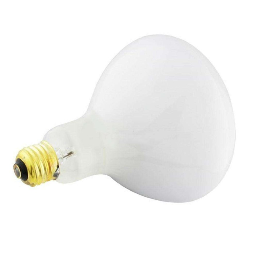 Light Bulbs * | Halco 400-Watt R40 Flood Specialty Pool Spa Replacement Light Bulb (1-Bulb) 104038 By Halco Lighting Technologies