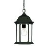 Outdoor Lighting * | Madison Collection 1-Light Black Coral Outdoor Hanging Lantern By Acclaim Lighting