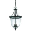 Outdoor Lighting * | Belle Collection 3-Light Matte Black Outdoor Hanging Lantern Light Fixture By Acclaim Lighting