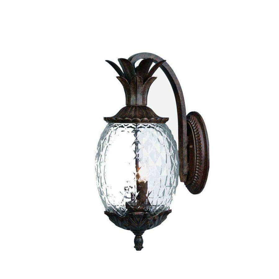 Outdoor Lighting * | Lanai Collection 2-Light Black Coral Outdoor Wall Lantern Sconce By Acclaim Lighting