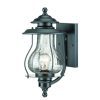 Outdoor Lighting * | Blue Ridge Collection 1-Light Matte Black Outdoor Wall Lantern Sconce By Acclaim Lighting