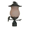 Outdoor Lighting * | Avian 2-Light Black Coral Outdoor Post Light Fixture By Acclaim Lighting