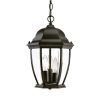 Outdoor Lighting * | Wexford Collection Hanging Lantern 3-Light Outdoor Matte Black Light Fixture By Acclaim Lighting