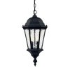 Outdoor Lighting * | Telfair Collection 2-Light Matte Black Outdoor Hanging Light Fixture By Acclaim Lighting