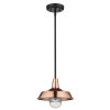 Outdoor Lighting * | Burry 1-Light Copper Outdoor Convertible Pendant By Acclaim Lighting