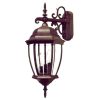 Outdoor Lighting * | Wexford Collection 3-Light Burled Walnut Outdoor Wall Lantern Sconce By Acclaim Lighting