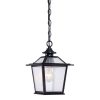 Outdoor Lighting * | Salem Collection 1-Light Matte Black Outdoor Hanging Ceiling Light By Acclaim Lighting