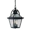 Outdoor Lighting * | Bay Street Collection 3-Light Matte Black Outdoor Hanging Lantern By Acclaim Lighting