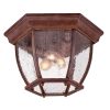 Outdoor Lighting * | Flushmount Collection Ceiling-Mount 3-Light Burled Walnut Outdoor Light Fixture By Acclaim Lighting