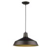 Pendant Lights * | Alcove 1-Light Oil-Rubbed Bronze Pendant With Antique Gold Interior Shade By Acclaim Lighting