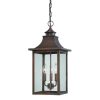 Outdoor Lighting * | St. Charles Collection Hanging Outdoor 3-Light Copper Pantina Light Fixture By Acclaim Lighting