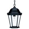 Outdoor Lighting * | Richmond Collection 1-Light Matte Black Outdoor Hanging Lantern By Acclaim Lighting