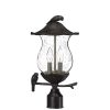 Outdoor Lighting * | Avian 2-Light Black Coral Outdoor Post Light Fixture By Acclaim Lighting