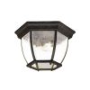 Outdoor Lighting * | Flushmount Collection Ceiling-Mount 3-Light Black Coral Outdoor Light Fixture By Acclaim Lighting