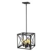 Pendant Lights * | Brooklyn 4-Light Matte Black Pendant With Metal Framework Shade By Acclaim Lighting